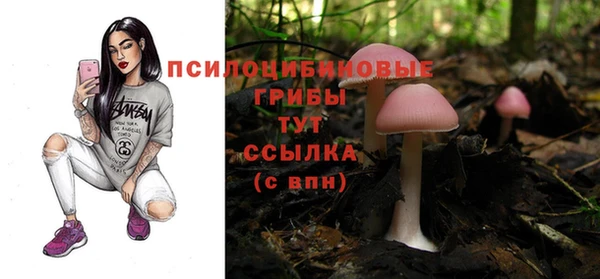 mix Абаза