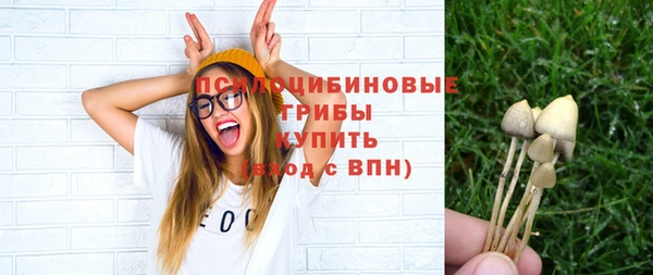 твердый Рославль