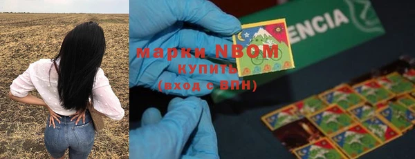 твердый Рославль