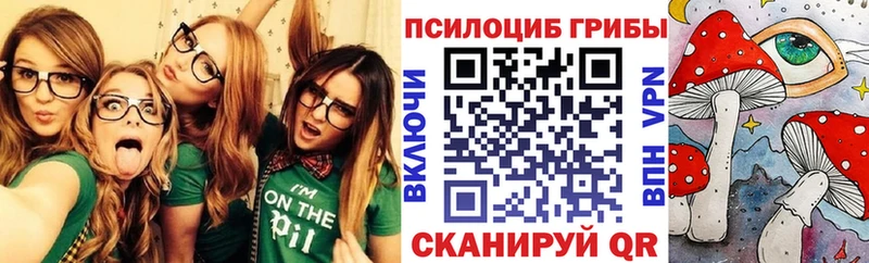 Галлюциногенные грибы Magic Shrooms  закладки  Болотное 